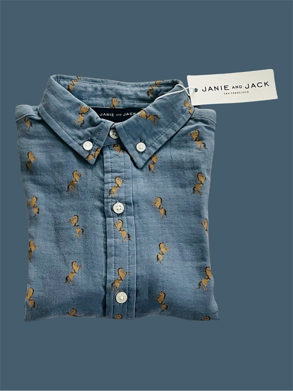 JANIE and JACK Boy’s Long Sleeve Button Down Equestrian Print Shirt | 3T | NWT